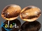 Icon_sw253