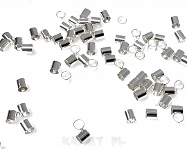 Stopery rurki zaciski 2mm 50szt-CH104