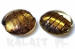 Weneckie zebry - pastylki 2,7cm - SW157