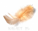 Piórka ozdobne do biżuterii 10szt.- Łososiowe