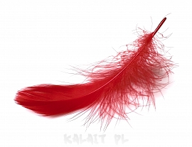 Piórka ozdobne do biżuterii 10szt.- Czerwone