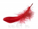 Piórka ozdobne do biżuterii 10szt.- Czerwone