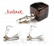 Icon_17746