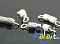 Icon_17767