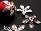 Icon_17817