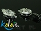 Icon_a1