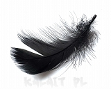 Piórka ozdobne do biżuterii 10szt.- Czarne