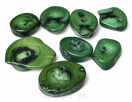 Koral robaczywka zielony plastry  1szt - K413