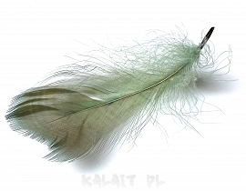 Piórka ozdobne do biżuterii 10szt.- Seledynowe